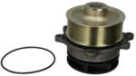 THERMOTEC Pompă de apă, răcire motor THERMOTEC WP-IV111 (WP-IV111)
