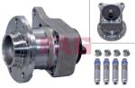 Schaeffler FAG Set rulment roata Schaeffler FAG 713 6405 30 (713 6405 30)