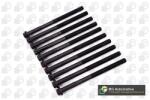 BGA Set surub, chiulasa BGA BK2379 (BK2379)