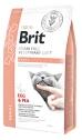 Brit VD Cat Renal Egg & Pea tojás és borsó 5kg