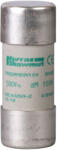 Schneider Electric TeSys DF, LS1/GK1 - DF2FA63 - Biztosítóbetét 22x58 63A (DF2FA63)