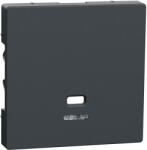 Schneider Electric Schneider Merten Fedlap, húzózsinóros kapcsolókhoz, System-M, antracit MEG3380-0414 (MEG3380-0414)