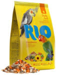 Rio Hrana zilnica pentru perusi si papagali Rio, 20 kg (21034)