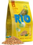 Rio Hrana pentru perusi Rio, pentru penaj, 500g (21020)