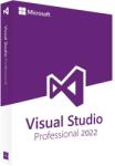 Microsoft Visual Studio Professional 2022 (STUD22)