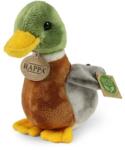Rappa Rață sălbatică de pluș 22 cm ECO-FRIENDLY (RP251045)