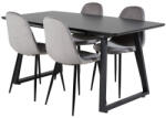  Étkezőgarnitúra Dallas 1616 (Szürke)