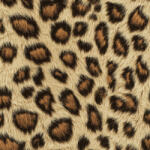 Takoy Microfiber/Pamut hatású utánzat light vadállat