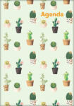 Dayliner Naptár, tervező, A5, heti, DAYLINER, "Colors", Cactus (DL6AG-COFA5HE-CC)