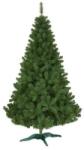 ProCart Brad De Craciun Artificial Procart Calitate Premium Inaltime 220 Cm Si Suport Cadou Verde (BRADV220)