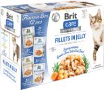 Brit BRIT CARE Macskafilé zselés keverék 12x85g