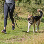 TRIXIE Dog Activity lesă de culoare roșie pentru câini de talie medie și mare cu curea de talie (Cureaua de talie: 70-120 cm lungime (reglabilă) / 40 mm lățime | Lesă: 1, 00-1, 35 m lungime / 25 mm lățime) (