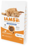 Iams for Vitality 10kg STERILISED zsírszegény száraz macskatáp Csirkével ivartalanított macskák számára - krizsopet