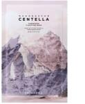 Skin1004 Madagascar Centella Poremizing Clarifying Mask, 23ml Masca de fata
