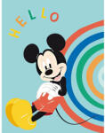 Aymax Disney Mickey Hello polár takaró 100x140cm (AYM984953)