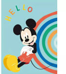  Disney Mickey Hello polár takaró 100x140cm (AYM984953)