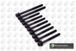 BGA Set surub, chiulasa BGA BK4391 (BK4391)