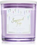DW HOME Winter Wonderland Sugared Fig lumânare parfumată 374 g