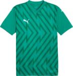 PUMA Teamglory Jersey (70574005)