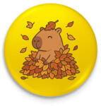 printfashion Őszi kapibara - Kitűző, hűtőmágnes - Sárga (17644778)