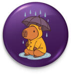 printfashion Tavaszi kapibara - Kitűző, hűtőmágnes - Lila (17648377)