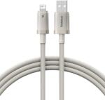 Baseus Titanium P10378100G21-00