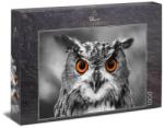 Ulmer 1000 db-os puzzle - Owl (0411) (0411)
