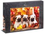 Ulmer 1000 db-os puzzle - Puppy Happiness (0893) (0893)