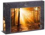 Ulmer 1000 db-os puzzle - Golden Autumn Forest (0909) (0909)