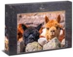 Ulmer 1000 db-os puzzle - Alpaca (0985) (0985)