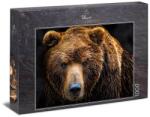 Ulmer 1000 db-os puzzle - Grizzly (1326) (1326)