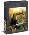 Ulmer 1000 db-os puzzle - Toucan & Peacock Butterfly (1616) (1616)