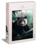 Ulmer 1000 db-os puzzle - Panda in Bamboo Forest (1623) (1623)