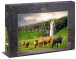 Ulmer 1000 db-os puzzle - Icelandic Horse (2804) (2804)