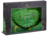 Ulmer 1000 db-os puzzle - Poison Green (3023) (3023)