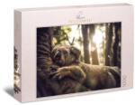 Ulmer 1000 db-os puzzle - The Dreamer (3160) (3160)