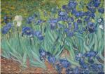 Ulmer 0312 - Irises, Vincent Van Gogh - 1000 db-os puzzle (0312)