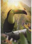 Ulmer 1616 - Toucan & Peacock Butterfly - 1000 db-os puzzle (1616)
