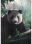 Ulmer 1623 - Panda in Bamboo Forest - 1000 db-os puzzle (1623)