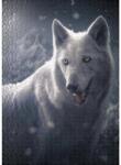 Ulmer 2576 - Tundra Wolf - 1000 db-os puzzle (2576)