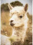 Ulmer 2637 - White Alpaca - 1000 db-os puzzle (2637)