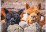 Ulmer 3733 - Alpaca - 500 db-os puzzle (3733)