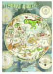 Paperblanks stationery Celestial Planisphere | Paperblanks
