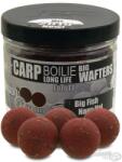 By Döme Haldorádó Carp Boilie Big Wafters 24 mm - Nagy Hal