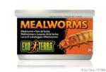 Hagen Exo-Terra Exo Terra Mealworms - eledel (Lisztkukac) terráriumi állatok részére (34g)