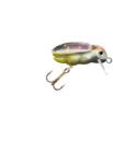  Hester Bug 3cm 2g 0, 1-0, 4m 529 (h159529030)