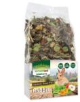 Nature Land Nature Land COMPLETE for Rabbits & Dwarf Rabbits 600g