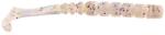  Mustad Aji Paddle Tail 2'' Meli Melo 12db/csomag (m8085011)