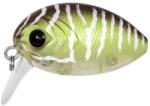 CarpZoom Carp Zoom PZ UL Bug wobbler, 3, 2 cm, 3, 5 g, fekete, zöld, úszó (CZ3511)