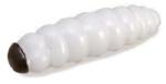 Trabucco Yummy Bait Camola white 8 db plasztik csali (182-11-010)